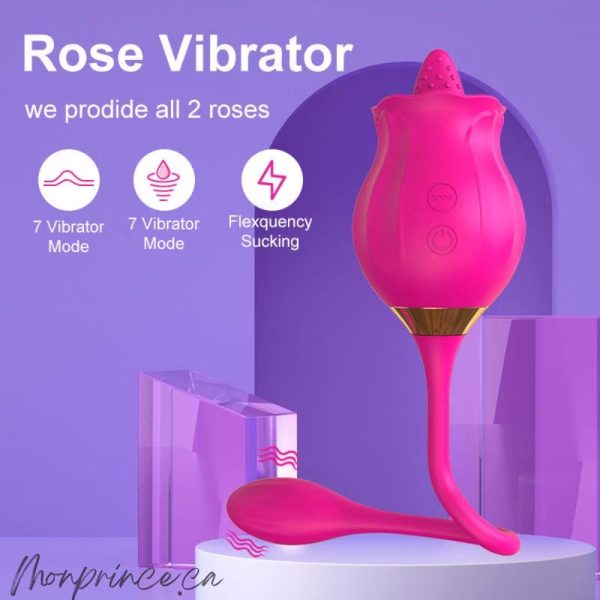 Image de la base et de l’œuf vibrant du Fleur Sauvage pour stimulation vaginale.