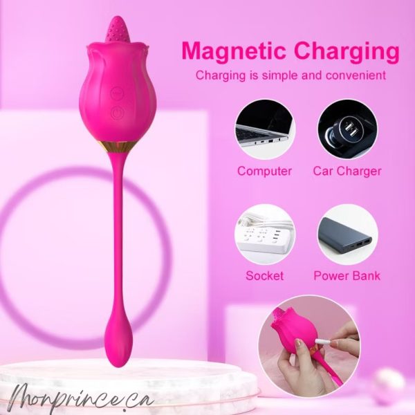Fleur Sauvage – Lèche et Vibre en silicone doux, hypoallergénique et de qualité médicale.