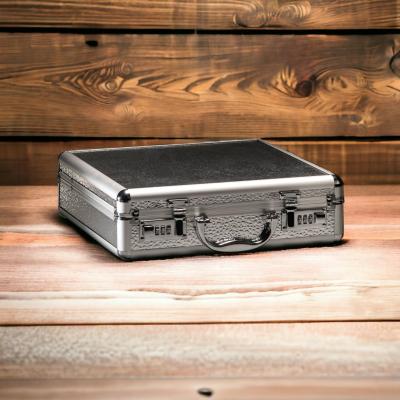 Secret 1 Argent - Malette pour Jouets Sexuels - DildoCase