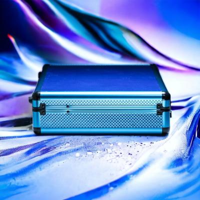 Secret 1 Bleu - Malette pour Jouets Sexuels - DildoCase