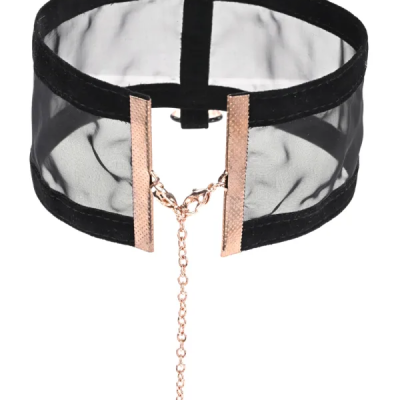 "Faites sensation avec le Sheer Day Collar: un must-have pour les amateurs de glamour!"