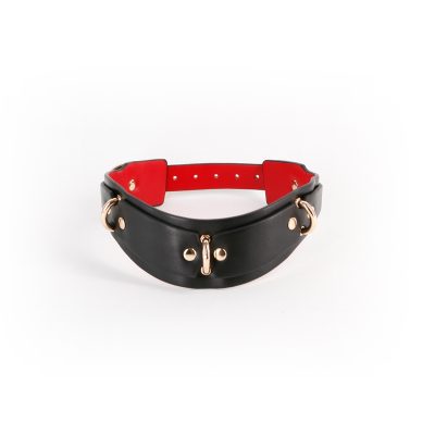 Osez l'audace avec le Collier BDSM Lilith de Fetish & Fashion.