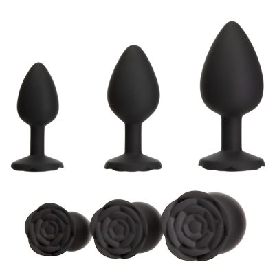Éveillez vos sens avec le Kit de Plugs Anaux Roses til’ Dawn.