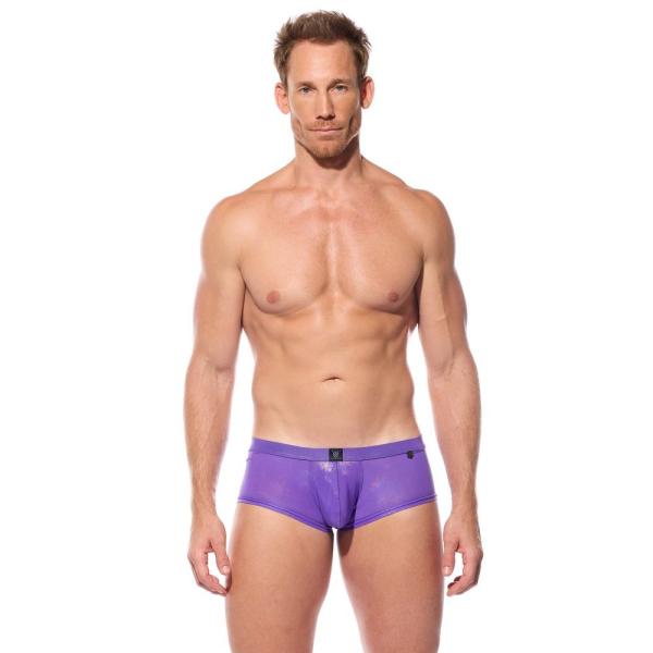 Soyez Impeccable en Toute Occasion avec le Boxer Brief Boytoy Voltz de Gregg Homme