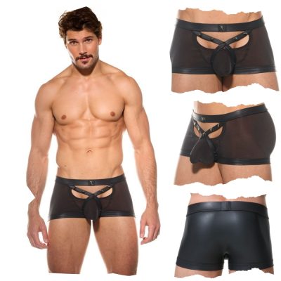 Boxer ajusté Horse de Gregg Homme avec tissu semi-transparent.