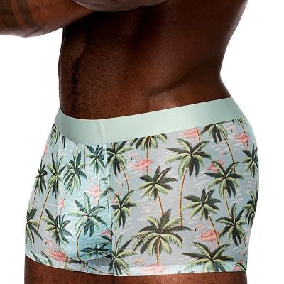 Boxer en mesh semi-transparent de Male Power en coloris Flamingo.