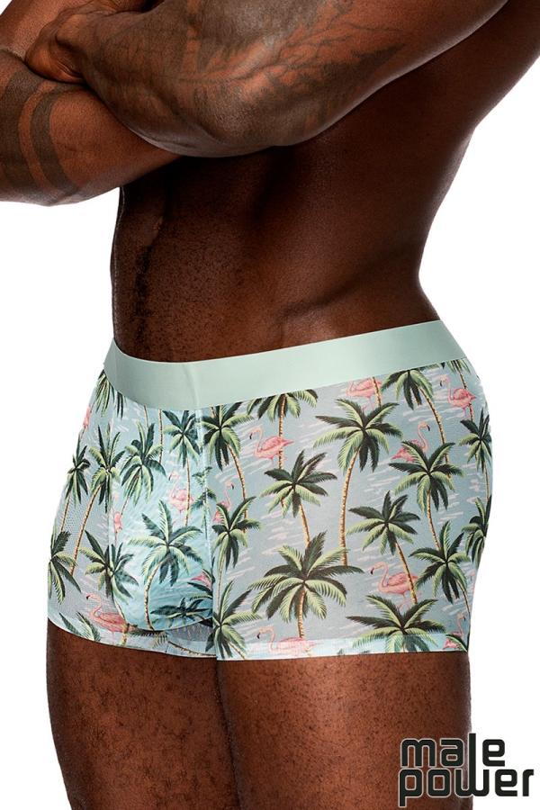 Boxer en mesh semi-transparent de Male Power en coloris Flamingo.
