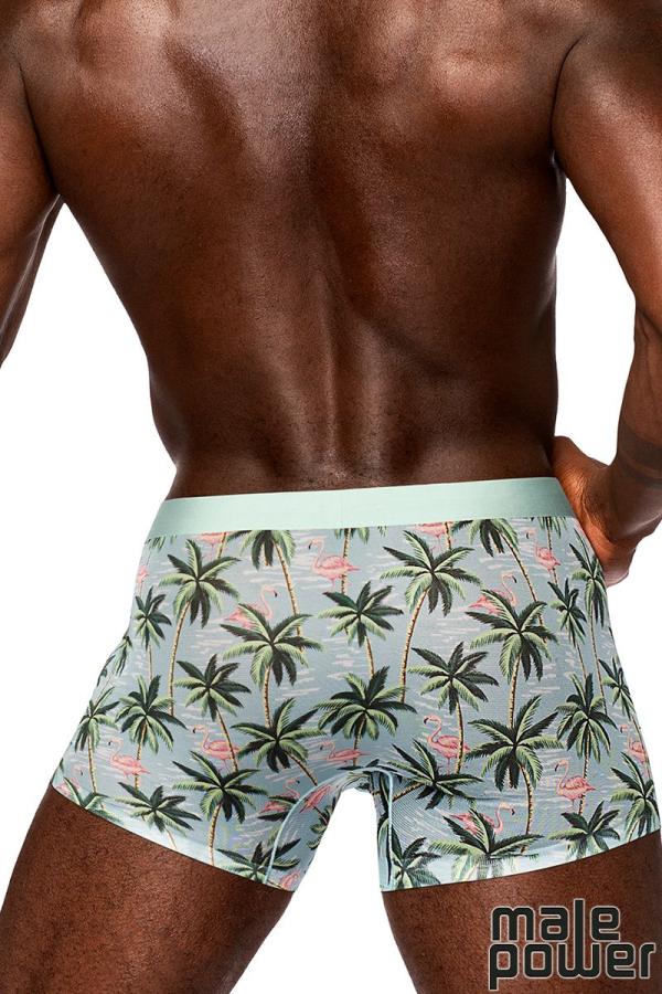 Taille élastique du boxer en mesh semi-transparent de Male Power.