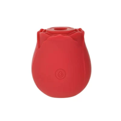 Utilisation du Happy Meeting Suction Rose