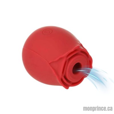 Stimulateur Happy Meeting Suction Rose - Vue d'ensemble