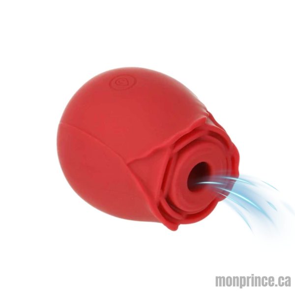 Stimulateur Happy Meeting Suction Rose - Vue d'ensemble
