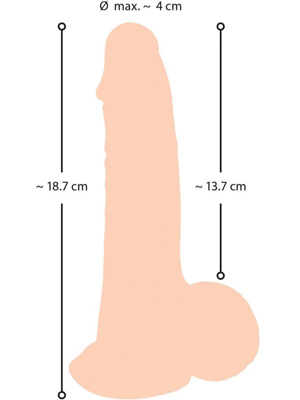 Détail des veines pulsantes et du gland marqué du gode