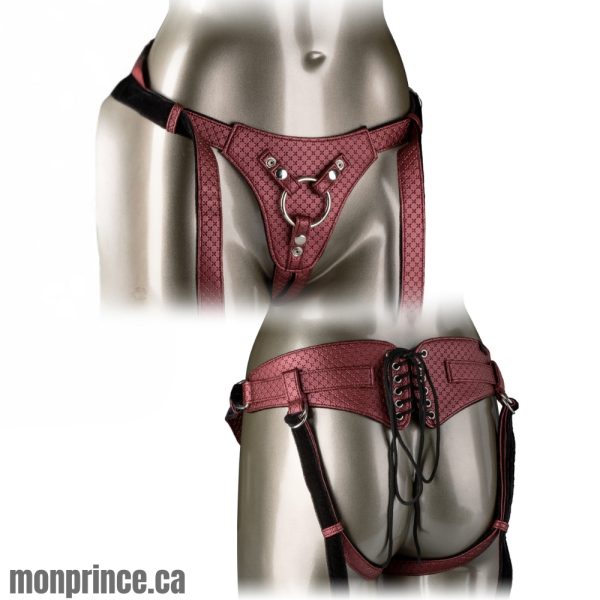 The Regal Queen – Harnais Royal avec Design Corseté