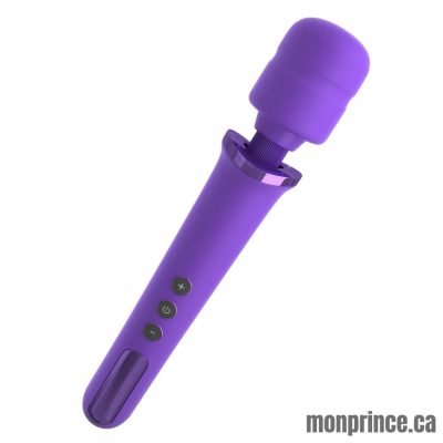 Vibromasseur Rechargeable de la Collection Fantasy for Her – Vue d'ensemble avec Manche Long