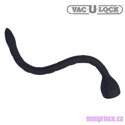 In Deep - Anal Snake – Vue d'ensemble du jouet
