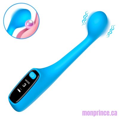 Vibromasseur Point G Affichage Numérique – Vue d'ensemble