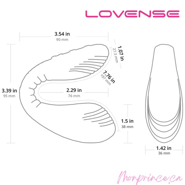 Dimensions et détails techniques du Lovense Dolce pour une stimulation précise
