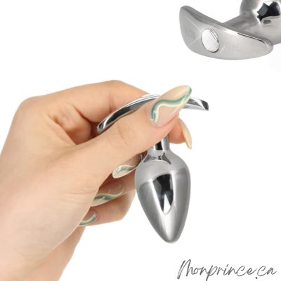 Vue complète du Plug Anale Lesté Sneaky de Pillow Talk.