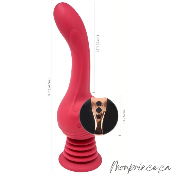 Socle solide et ventouse puissante pour un usage mains libres.