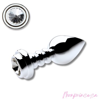 Éclat d'Argent – Plug anale en acier inoxydable avec cristal scintillant