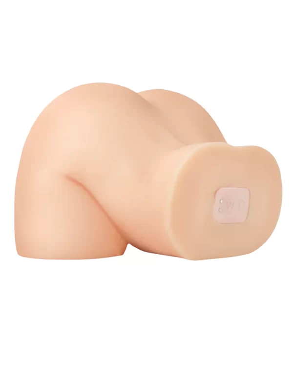 « Recharge USB du dispositif "Shake That Ass" – PDX Elite »