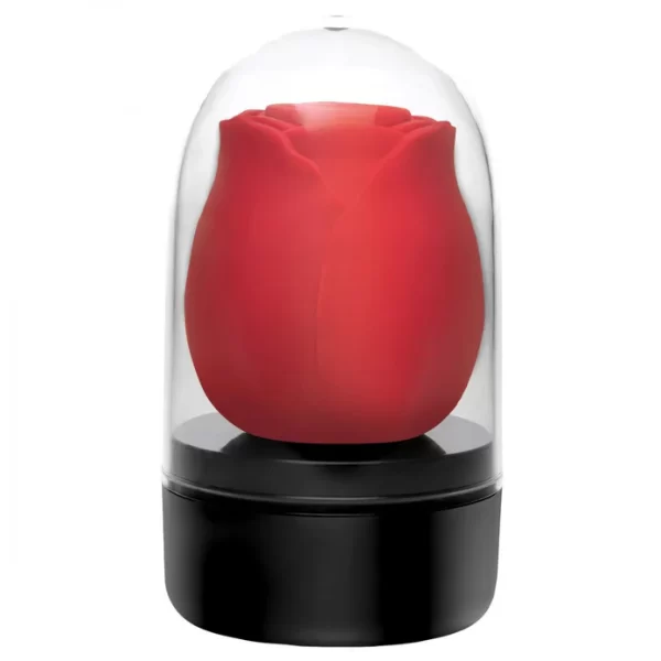 « Stimulateur en silicone premium avec finition élégante »