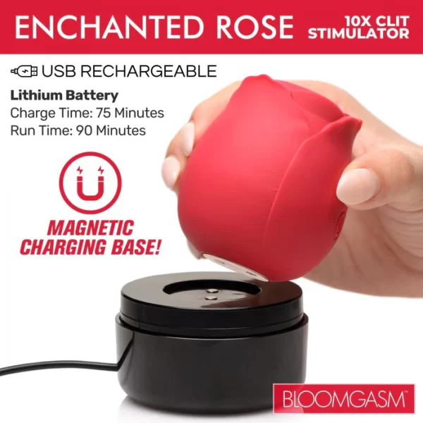 « Étui de recharge USB pour le jouet Enchanted Rose »