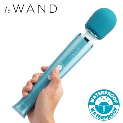 Dive Submersible Rechargeable Vibrating Massager - Le Wand