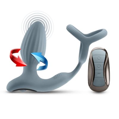 "Pinnacle Renegade plug vibrant 4” avec anneau – Boutique Érotique Le Prince Canada"