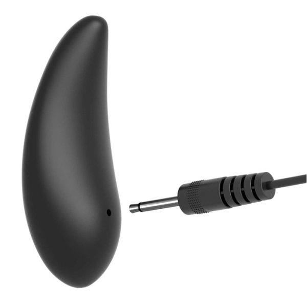 « Télécommande sans fil intuitive du plug Anal Fantasy »