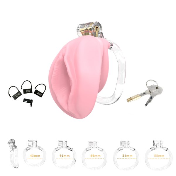 Cage de chasteté rose Pussyfyer avec cadenas en laiton