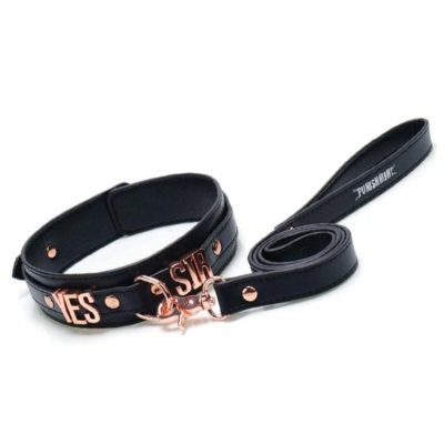 Collier noir Yes Sir rose gold avec laisse Punishment