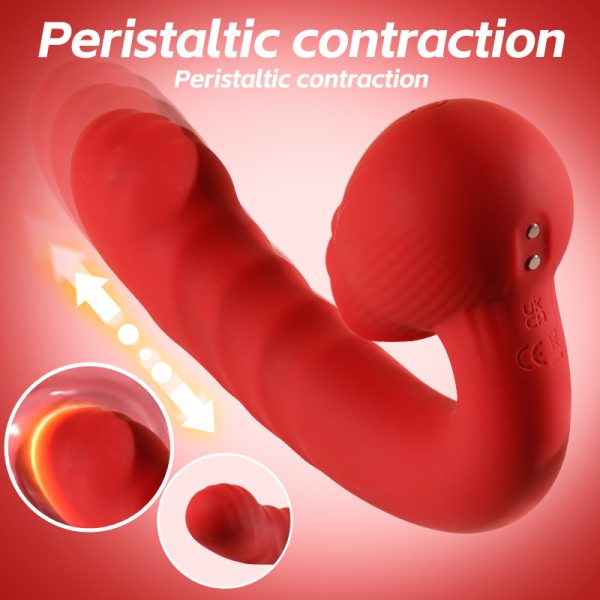Vibrateur rechargeable USB Rose Thrustion