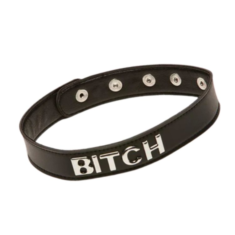 Bitch Collar - XPlay
