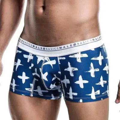 Boxer
