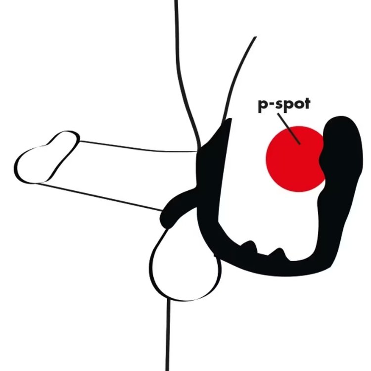 jouet P-spot pour homme en silicone