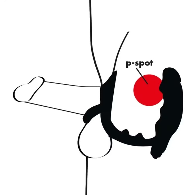 jouet anal vibrant pour hommes