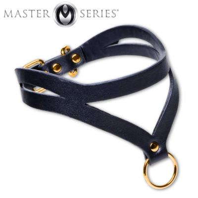 Bondage Baddie collier BDSM noir et or Master Series Le Prince Québec