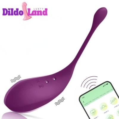 vibromasseur connecté télécommande app